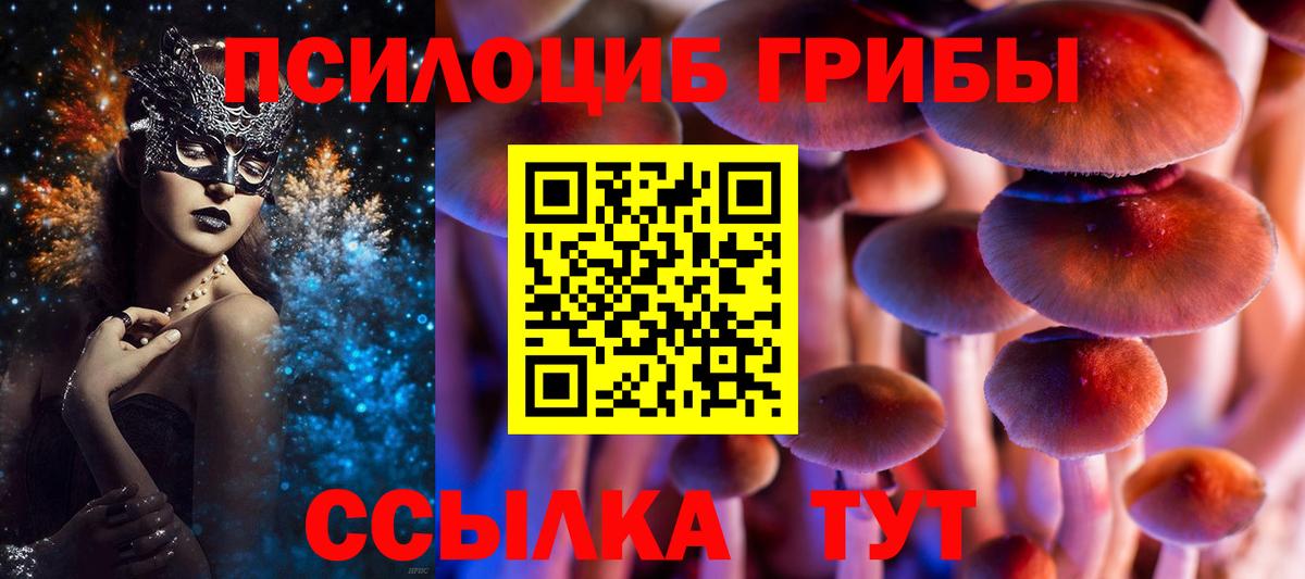 Псилоцибиновые грибы мицелий Чистополь