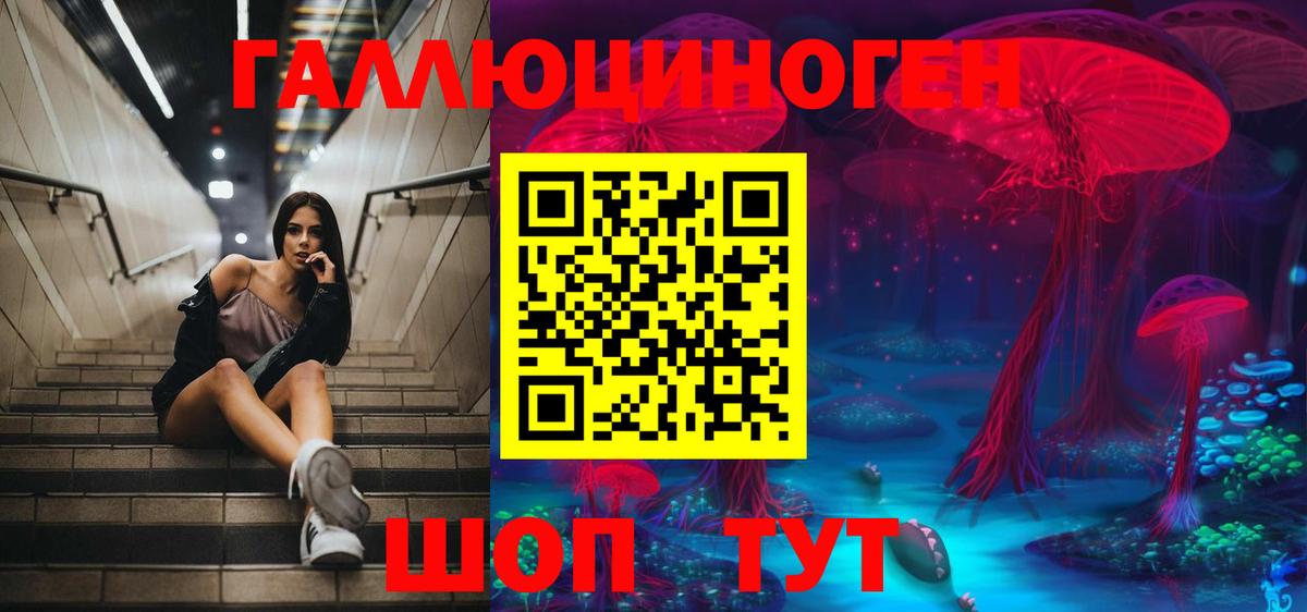 Галлюциногенные грибы Psilocybine cubensis  Вход с VPN  Чистополь 